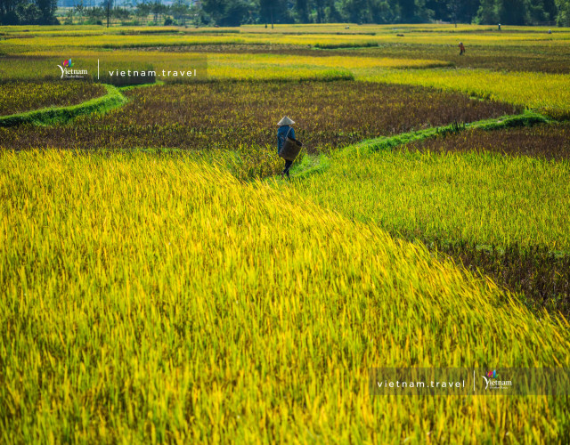 Mai-Chau-Rice-Fields---Copyright-Christian-Berg-min-(1).jpg