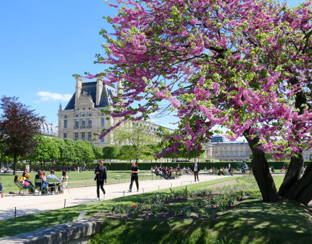 Jardin-des-Tuileries,-Pavillon-de-Marsan(1)-web.jpg