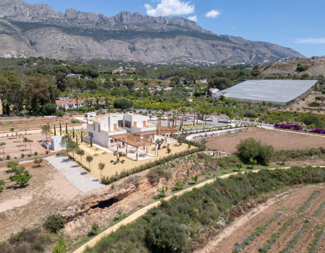 zemaltea-fincaalthaya22-jun25.jpg