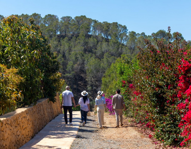 zemaltea-fincaalthaya72-jun25.jpg
