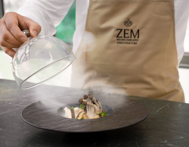 zemaltea-mushroom-forest-oct24.jpg