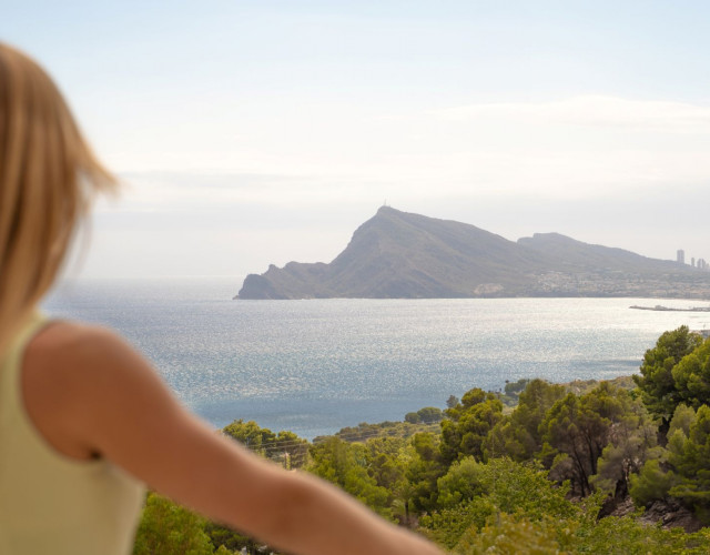zemaltea-view-oct24.jpg