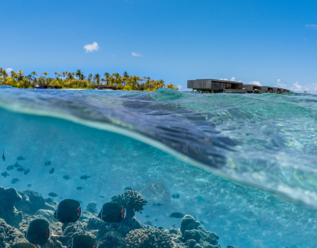 Patina-Maldives_-House-Reef.jpg