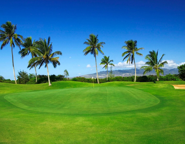 PW_HawaiiPrinceGolfClub_Course_003.jpg