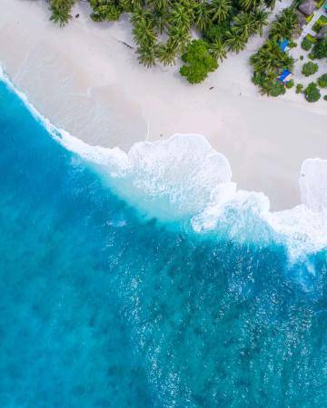 Počitnice na plaži
