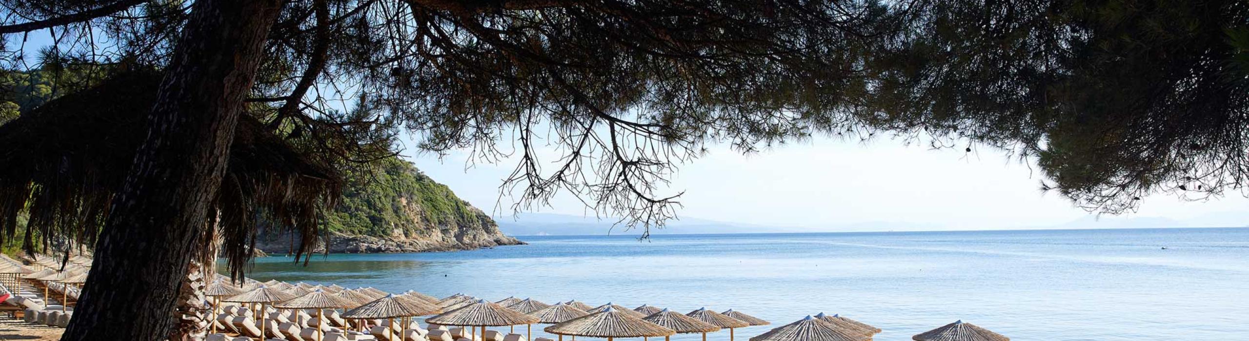Skopelos in Skiathos*****