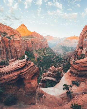 Združene Države Amerike