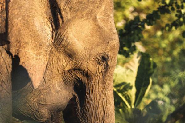 Šri Lanka - kratek vodnik