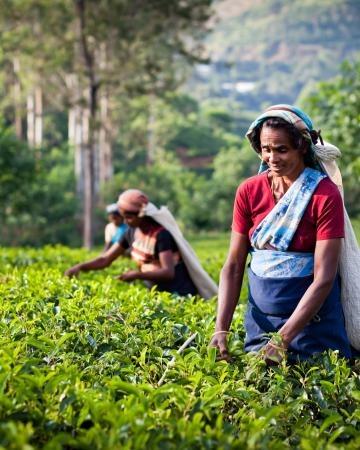 Šri Lanka, domačini