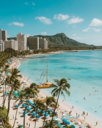 Havaji, Los Angeles, Amerika, plaža, morje, palme