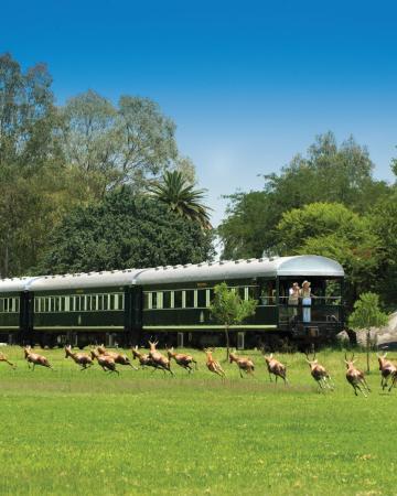 Južna Afrika, vlak, safari, živali