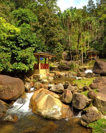 Urban iz Star Travel svetuje - Malezija