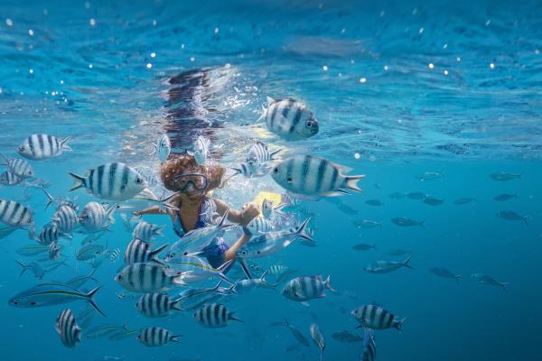 Potovanje Singapur in Fidži