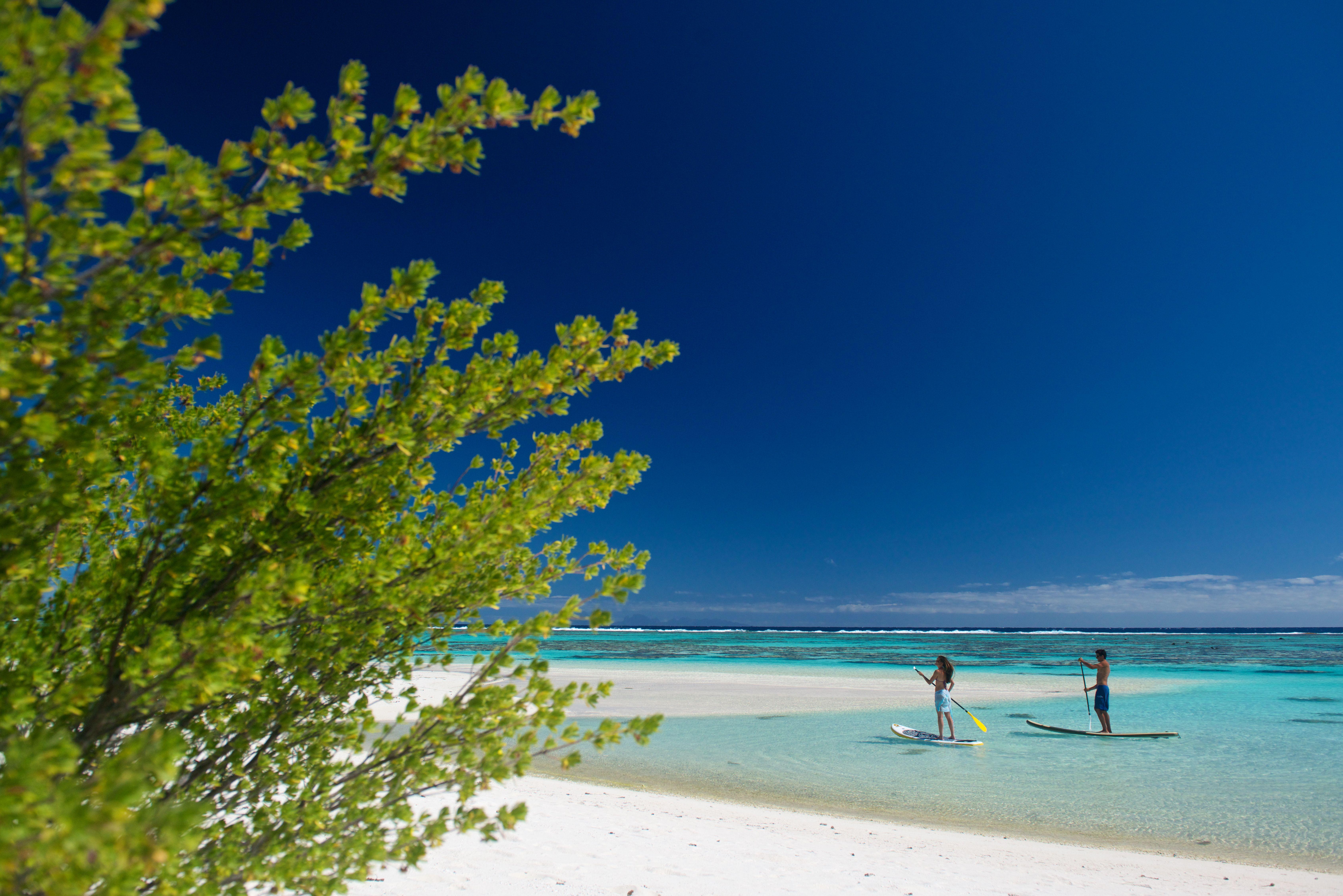 The Brando *****, Francoska Polinezija