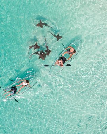 The Ocean Club, A Four Seasons Resort Bahamas *****, Bahami