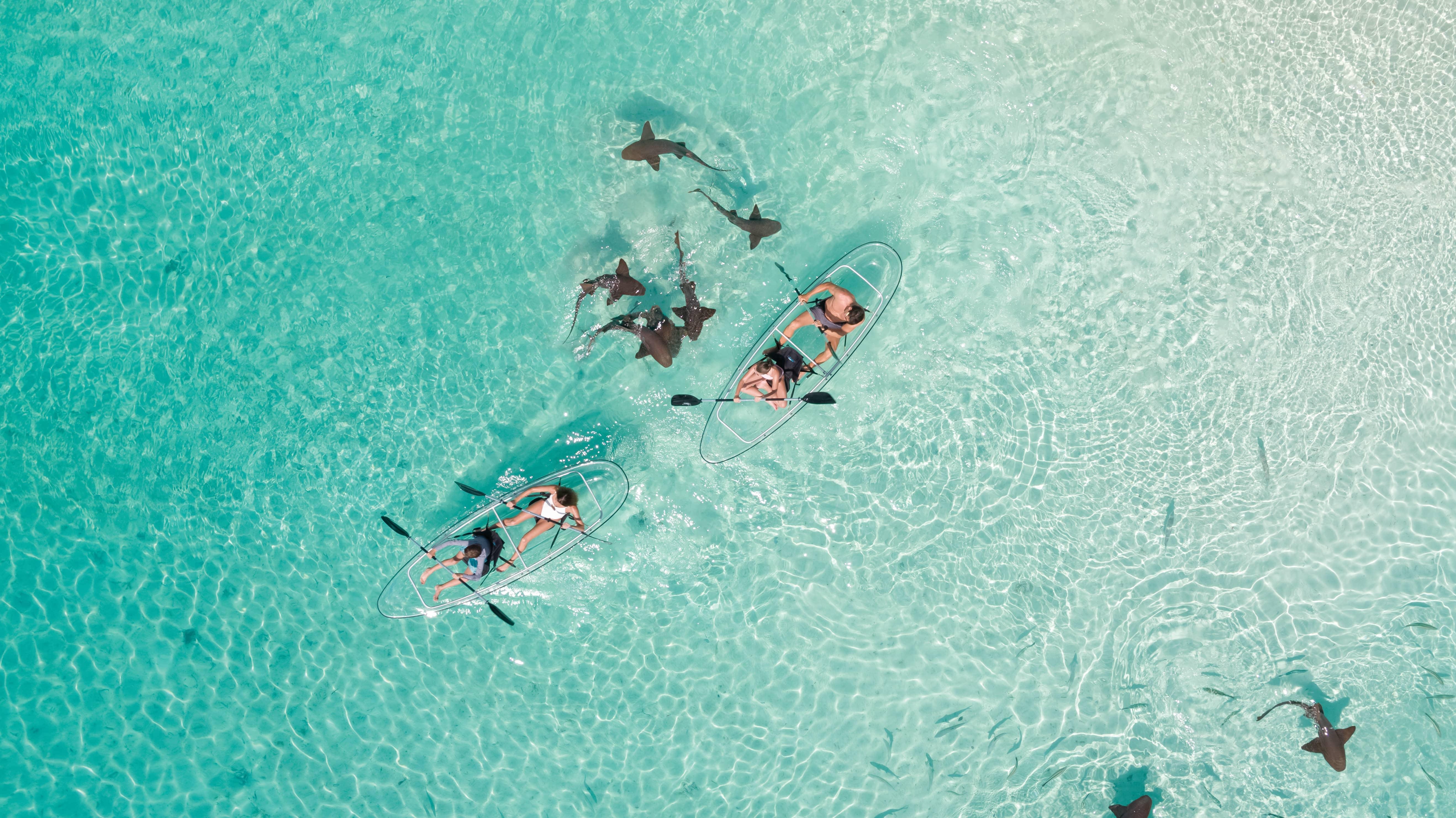 The Ocean Club, A Four Seasons Resort Bahamas *****, Bahami