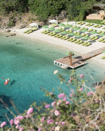 D Maris Bay *****
