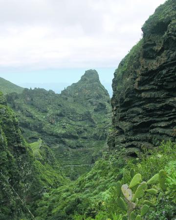 Royal Hydeaway Corales Suites *****