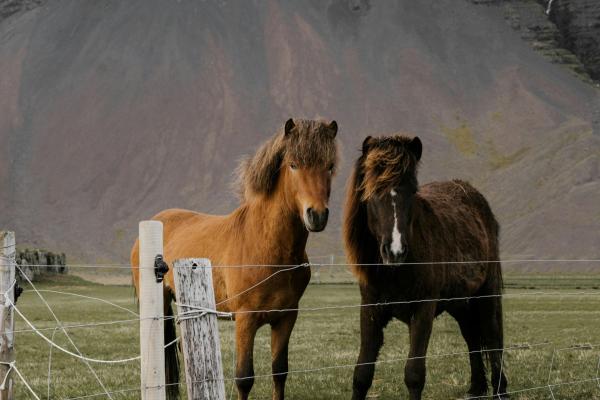 Sever Evrope z Nordkappom