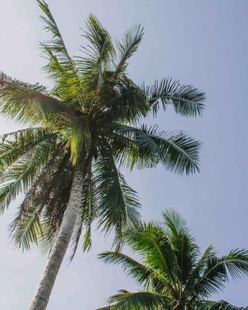 Six Senses Con Dao *****