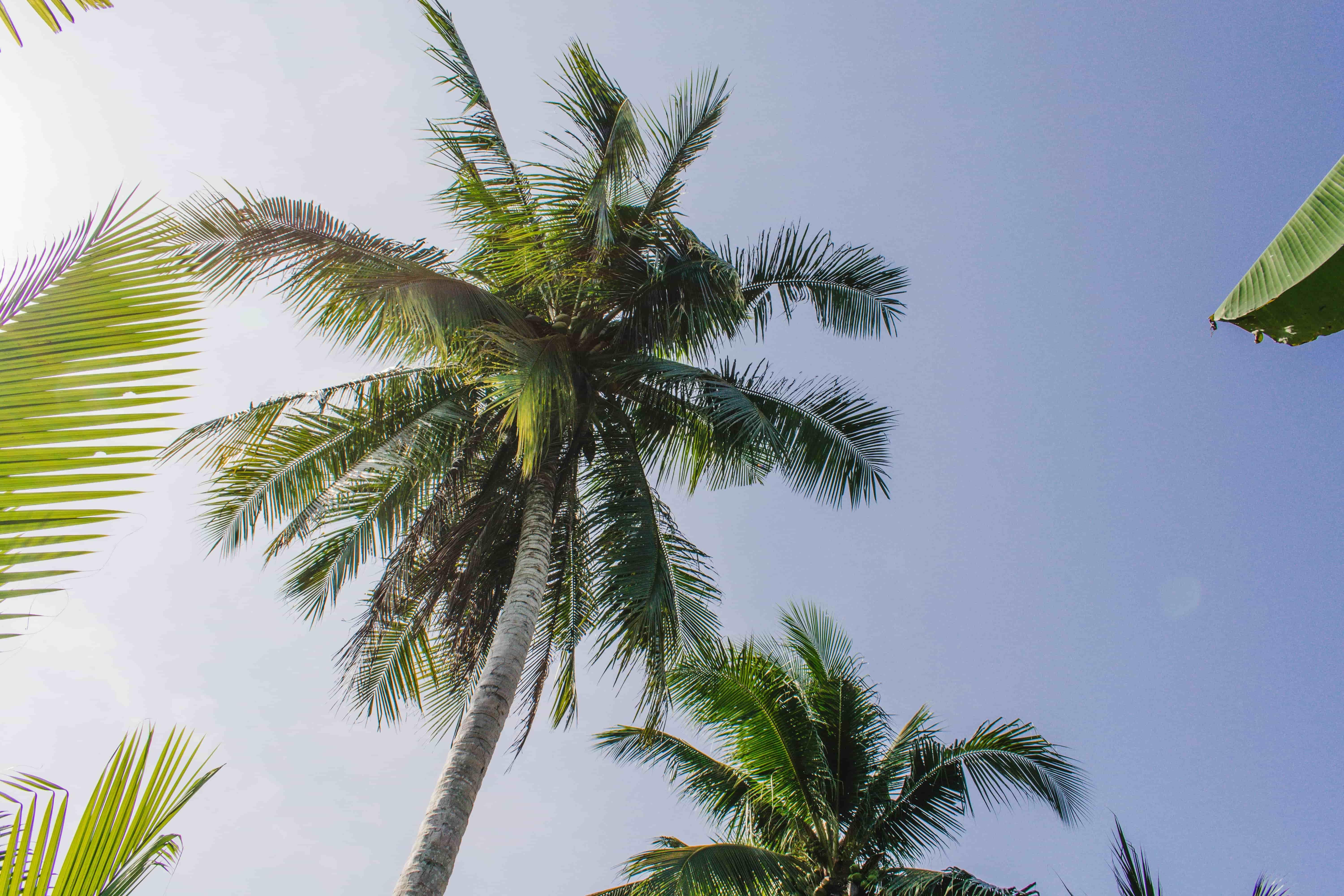 Six Senses Con Dao *****