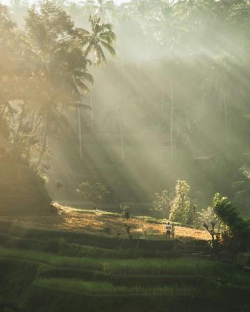 Bali - Indonezija