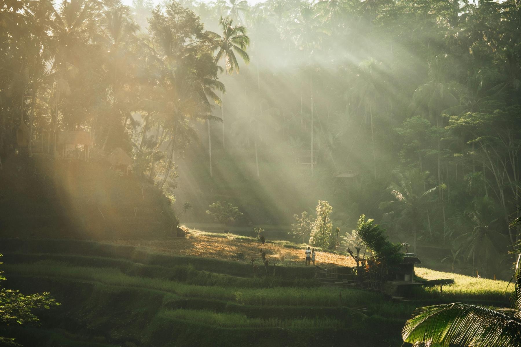Bali - Indonezija