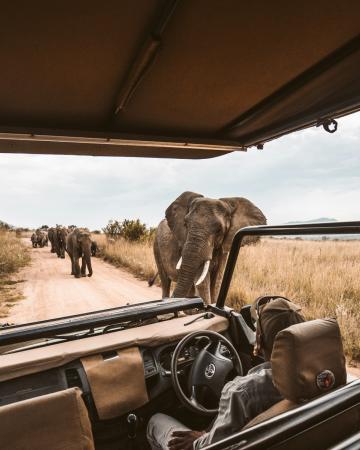 Afriški safari