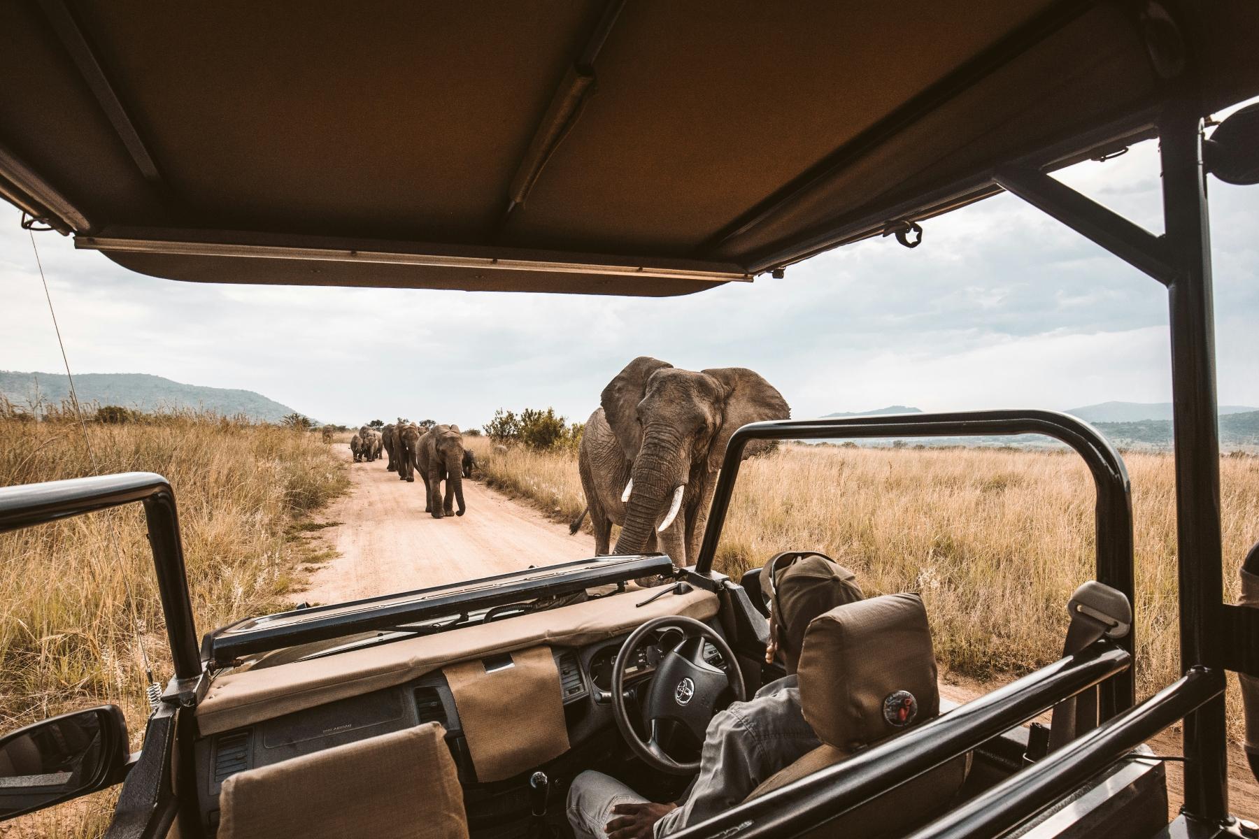 Afriški safari