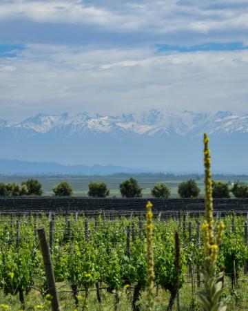 Čile in Argentina