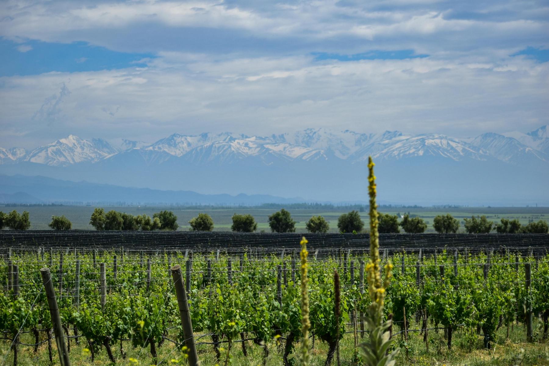 Čile in Argentina
