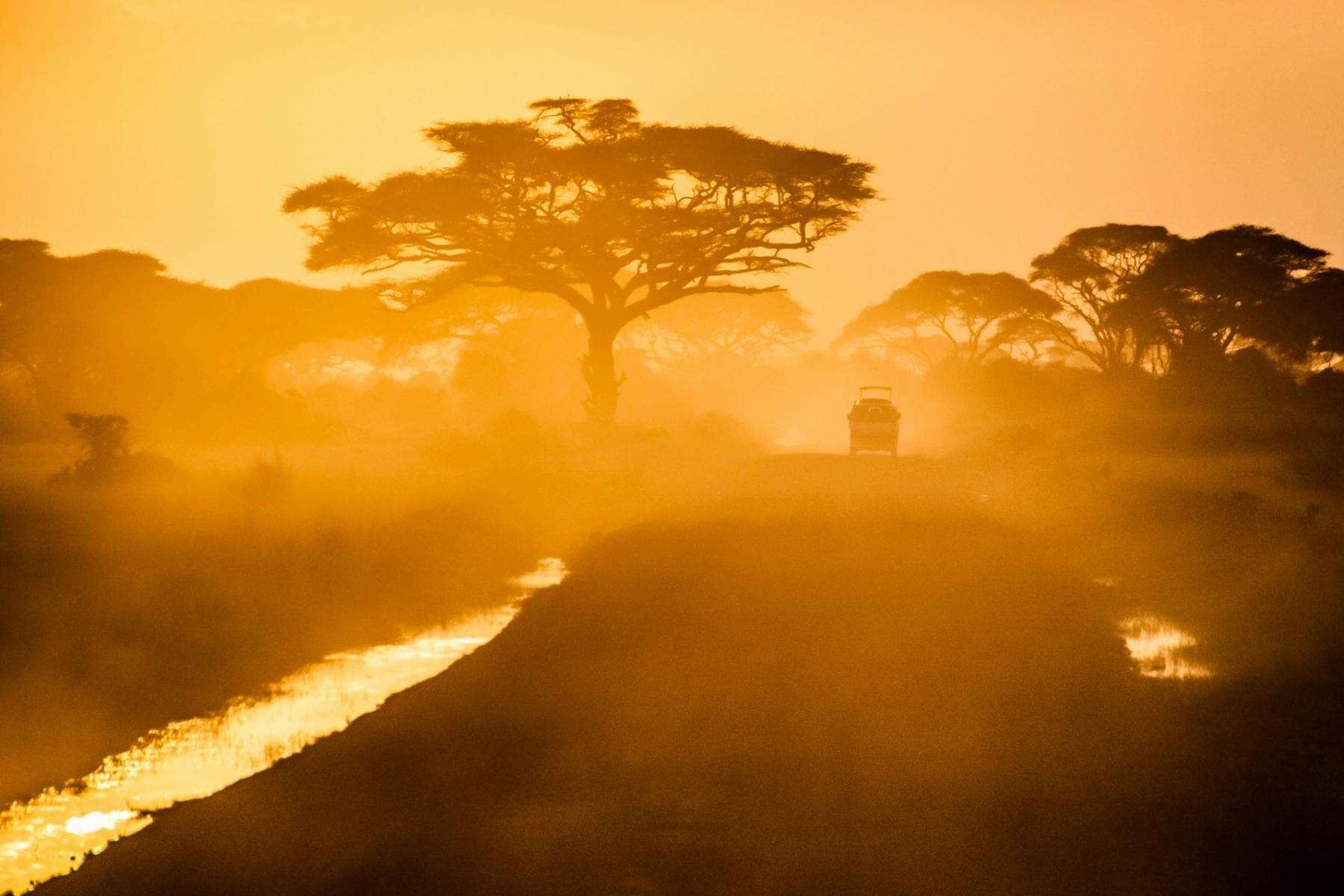 Afriški safari