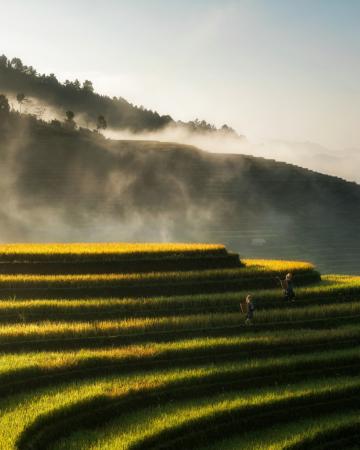 Vietnam