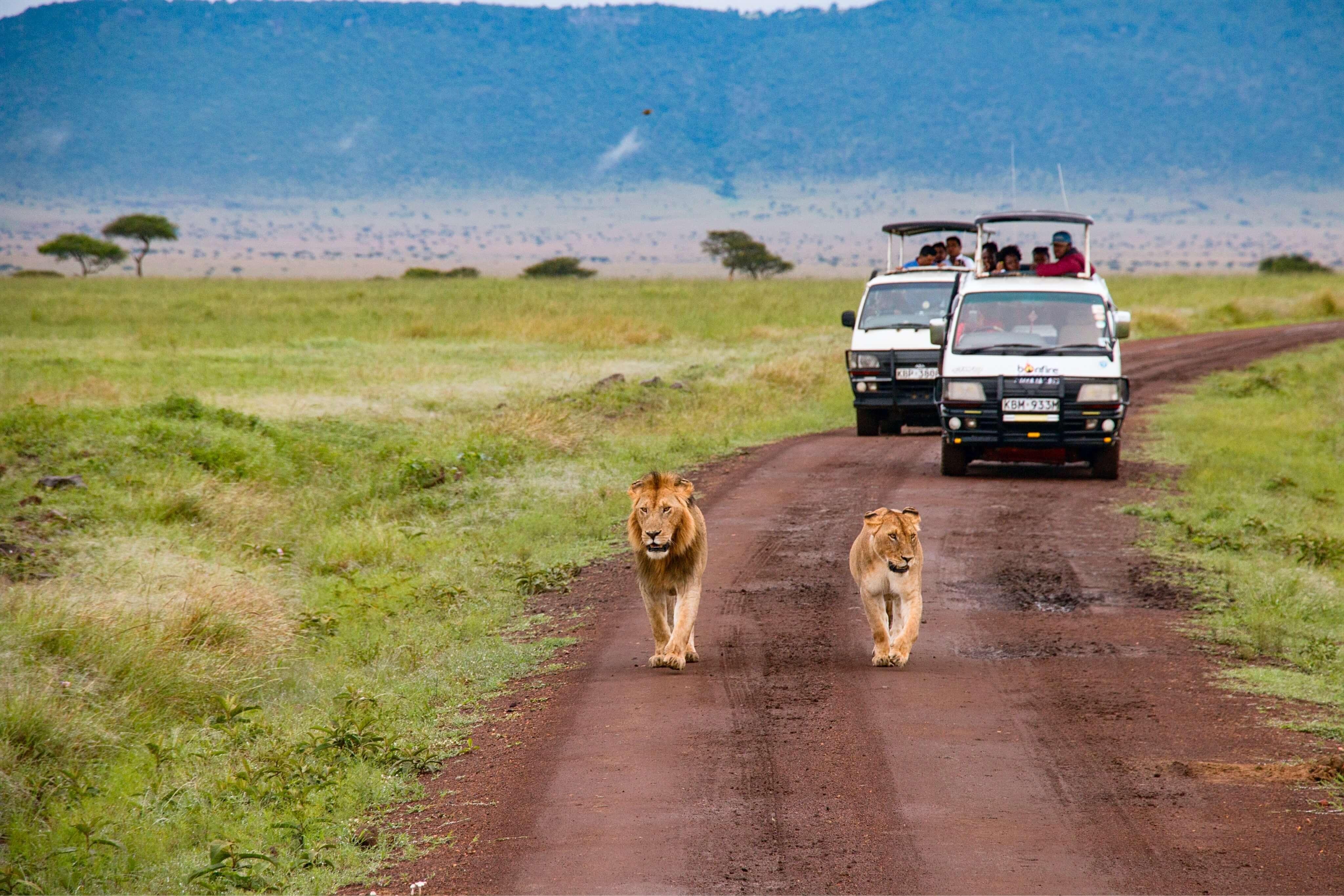 Safari in počitnice v Keniji