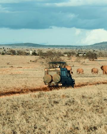 Afriški safari