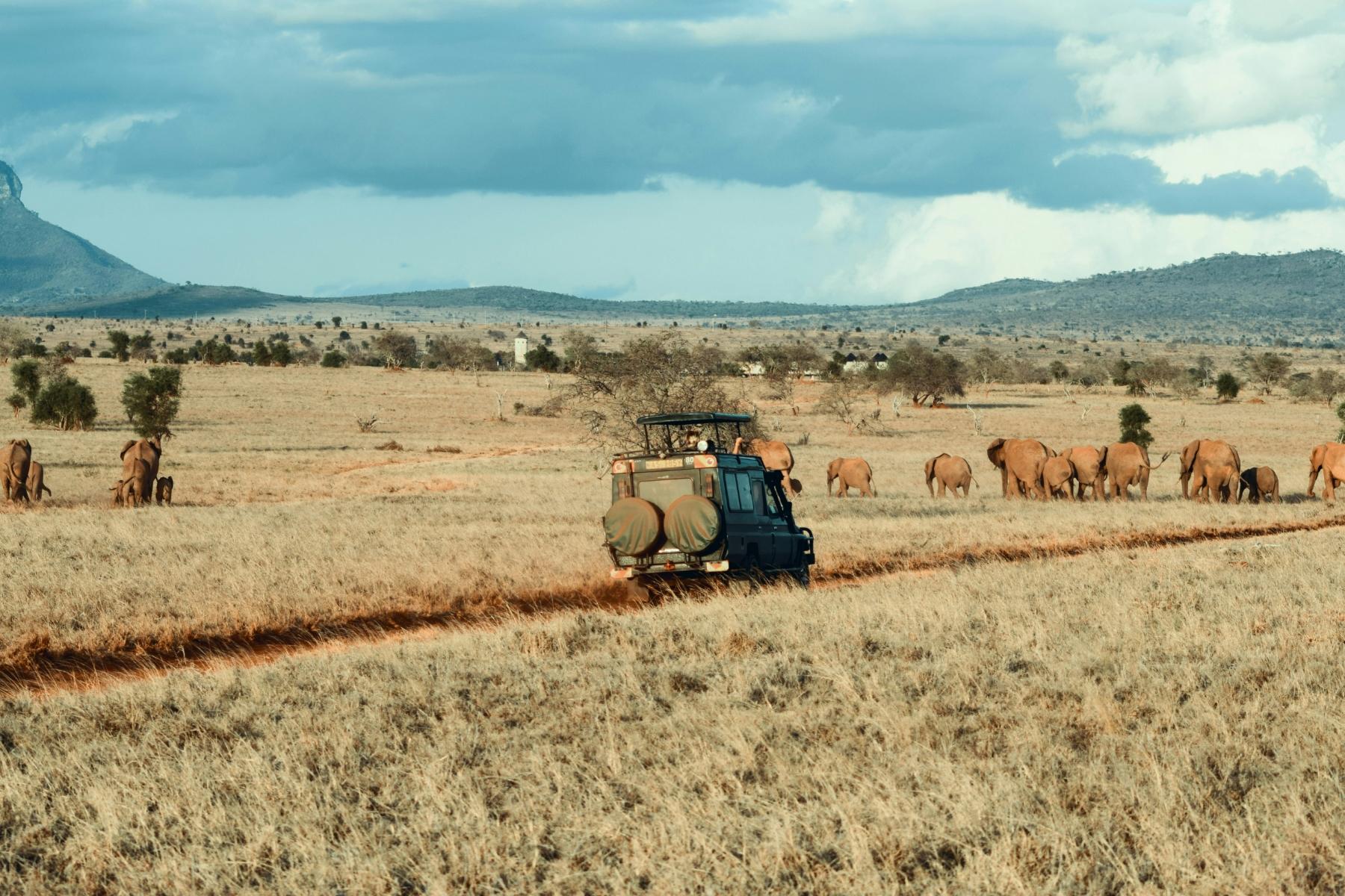 Afriški safari