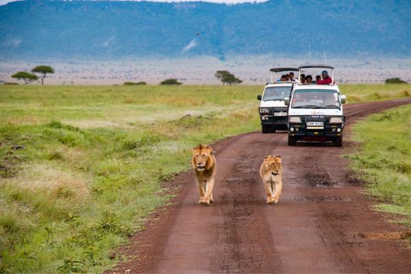Kenija – doživetje safarija in oddih ob Indijskem oceanu