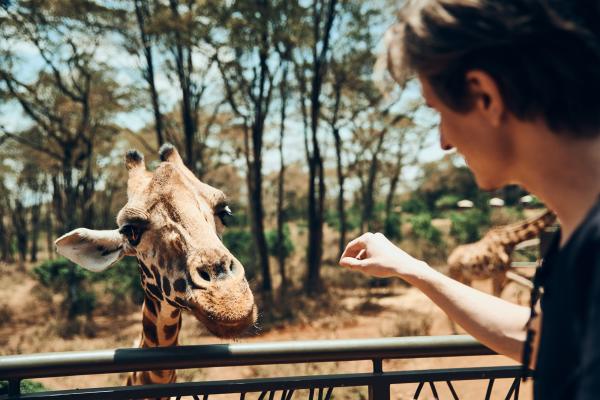 Divja Tanzanija: Safari življenja