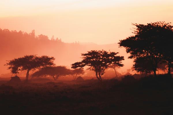 Uganda & Ruanda – zelena bisera Afrike