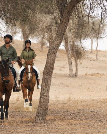 The Ritz-Carlton Ras Al Khaimah, Al Wadi Desert *****, Dubaj