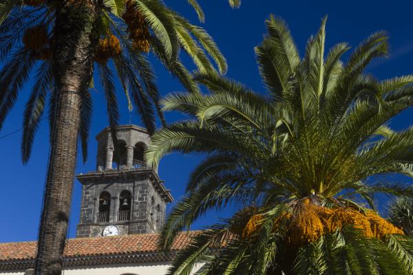 Royal Hydeaway Corales Suites *****