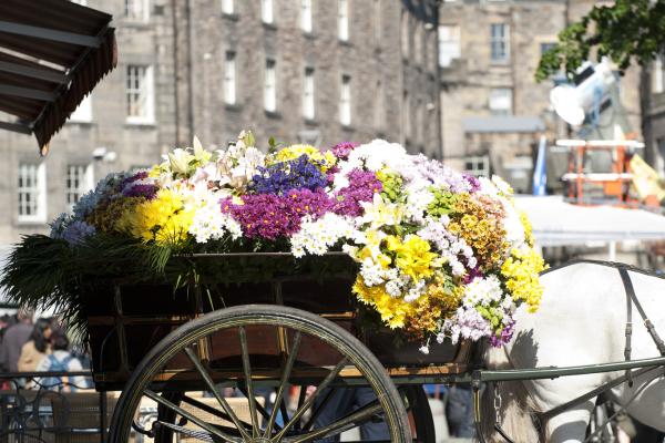 Edinburgh City break