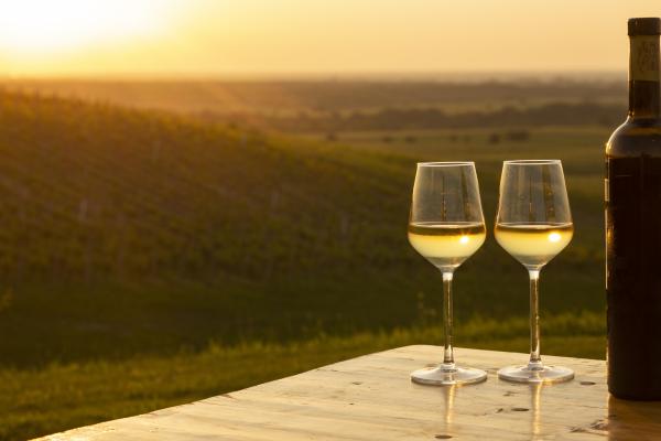 Boutique Hotel Adriatic ****