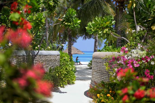 plaža, Maldivi, resort, morje, oddih, plaža