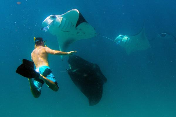 plaža, Maldivi, resort, morje, potapljanje