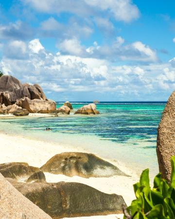 Sejšeli, plaža, otok, morje