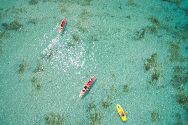 Constance Ephelia Seychelles *****