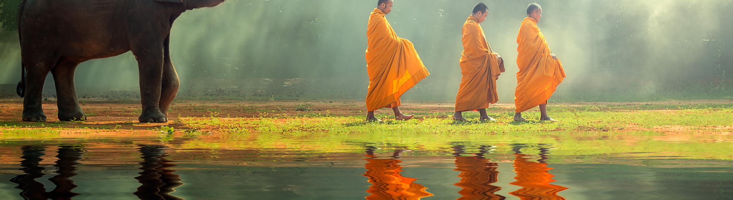 Šri Lanka, slon, domačini