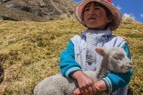 Peru - 11 dnevno potovanje po deželi Inkov