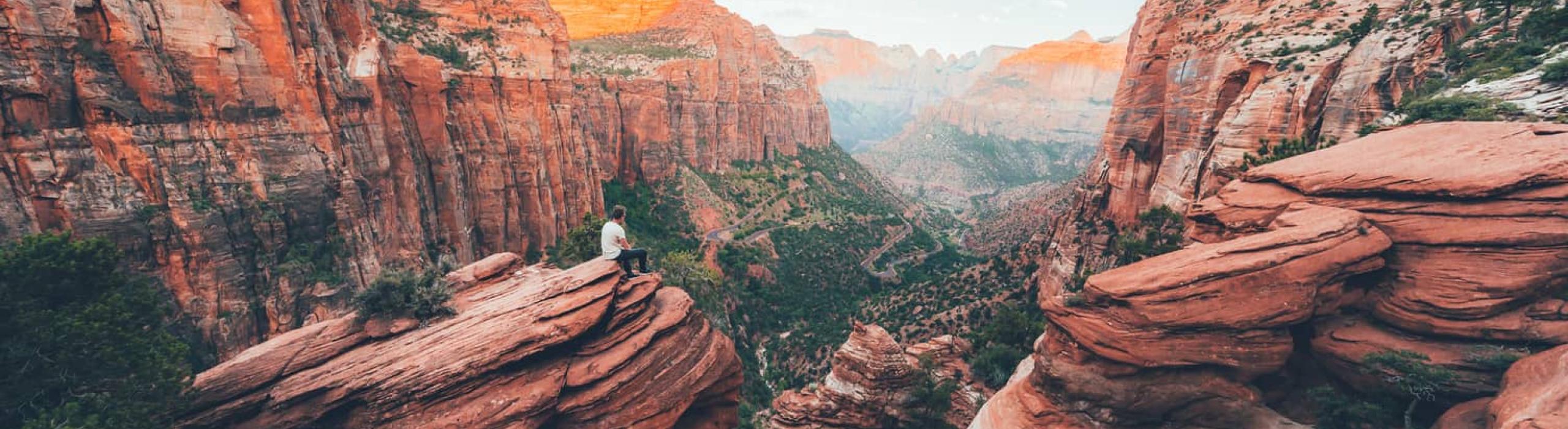 Združene Države Amerike